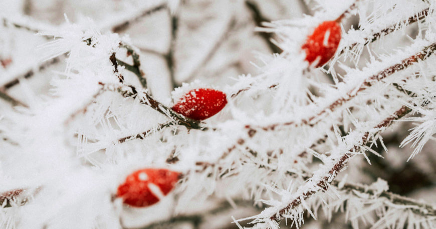 Weihnachtsferien 2025