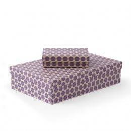 Schachtel Kap Arkona